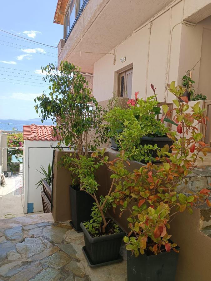 Buganvilla Sea View Apts Agia Pelagia Exteriér fotografie